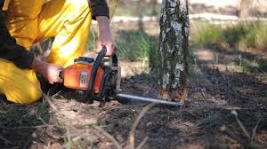 Lawn Drainage Solutions in Saukville, WI
