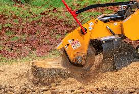 Best Seasonal Cleanup (Spring/Fall)  in Saukville, WI