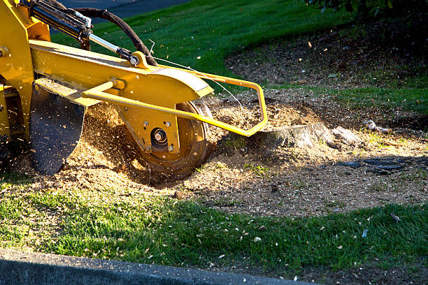 Lawn Watering Services in Saukville, WI