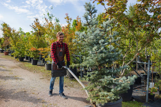  Saukville, WI Tree Services Pros